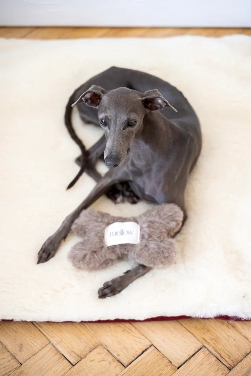 Juguete natural de lana para perros – Hueso – Gris carbón